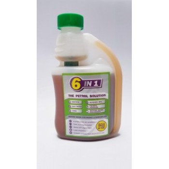 6 IN 1 - THE PETROL SOLUTION