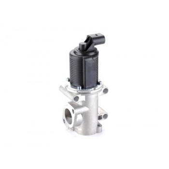 VSEG109 EGR Valve