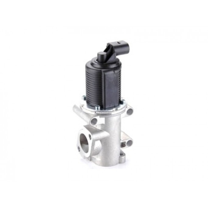 VSEG109 EGR Valve