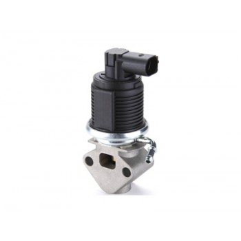 VSEG126 EGR Valve