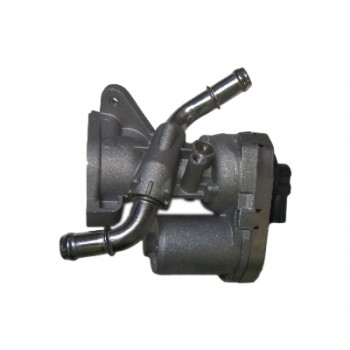 VSEG155 Ford EGR Valve