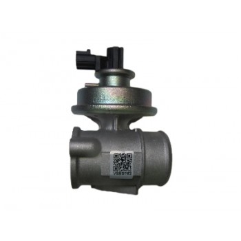 VSEG162 EGR Valve