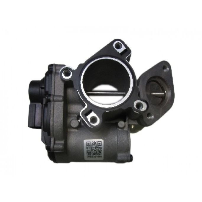 VSEG165 EGR Valve