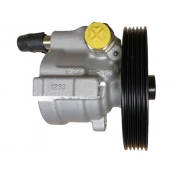 VSSP103 Brand New Power Steering Pump
